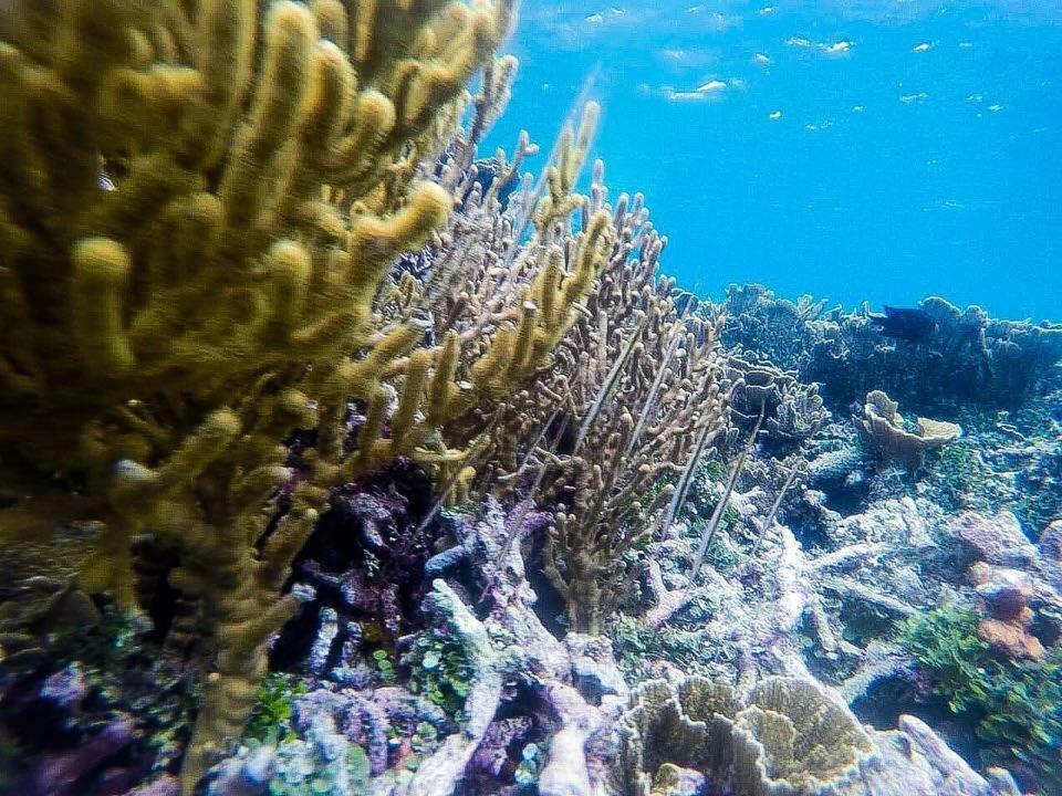 Deepsky Villa Karimunjawa Exterior foto